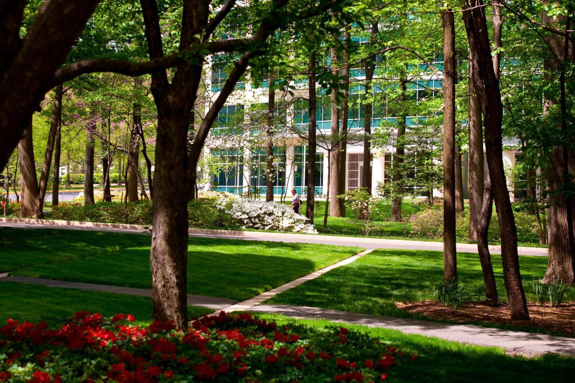 Falls Church Marriott Fairview Park Экстерьер фото